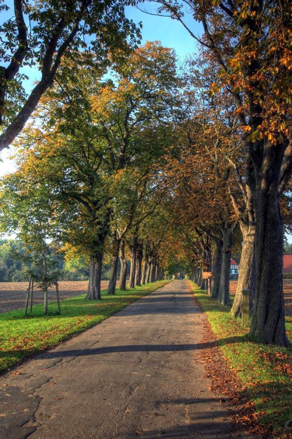 Preußisch Oldendorf Schlosspark Hollwinkel מראה חיצוני תמונה
